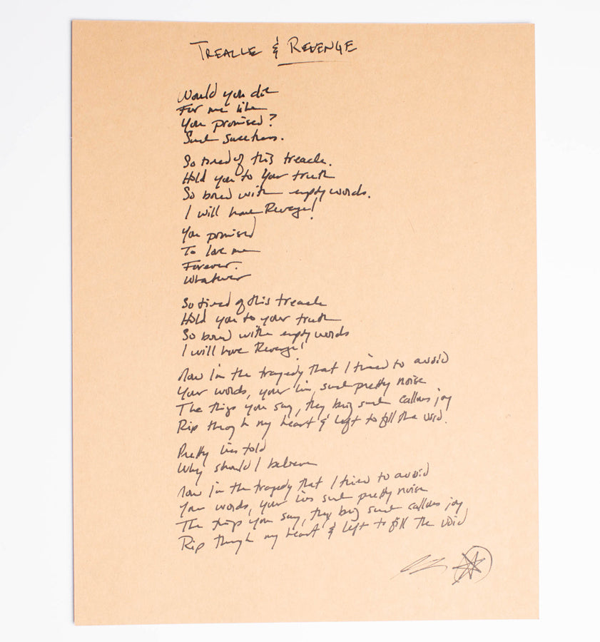 Handwritten Lyric Sheet (Skin & Sorrow LP)