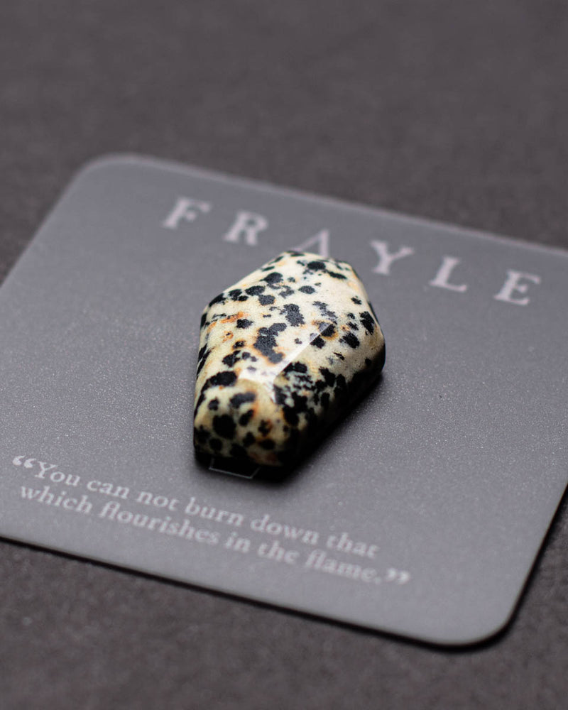 Dalmatian Jasper Coffin